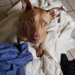 Aidan Schmidt - @aidan.schmidt.923 - Instagram