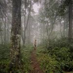 Aidan Schmidt - @schmidty.pictures - Instagram