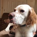 Aiden Scott - @aidenthesetter - Instagram