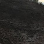 @aidanshane - Instagram