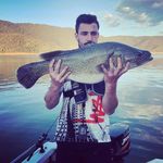 Aidan Sharp - @sharpie95 - Instagram