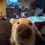 Aidan Shore - Facebook