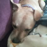 Aidan Sims - @edragyz - Instagram