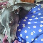 Aidan Skinner Campbell - @aidanskinnercampbell - Instagram