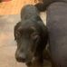 Aiden Smock - Facebook