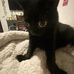 Aiden Snider - Facebook