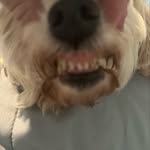 Aidan - @aidan_snoww - Instagram