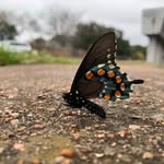 Aidan Snow Prater - @atx_snow - Instagram