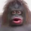 Aidan Sprague - @aidan.sprague - TikTok