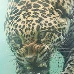 Aidan_sprague - @aidansprague - Instagram