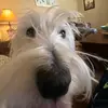 Aidan Staples - @aidanstaples3 - TikTok