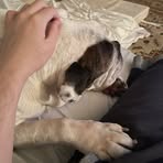 Aidan Stark - Facebook