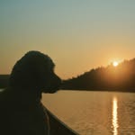 aiden stead - @asteadkayak - Instagram
