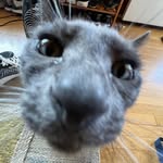 Aidan Steele - @supadupaya_ - Instagram