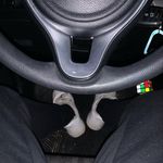 Aidan - @aidan.stevens16 - Instagram