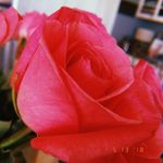 Aidan Stevens - @aidan__stevens - Instagram