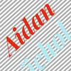 aidan.stevenson - @aidan_and_nichole - TikTok
