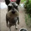 Aidan🦝 - @aidan.torres7 - TikTok