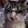 aidantorres121 - @aidan.torres71 - TikTok