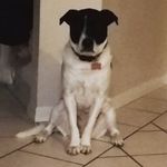 Aidan Vasquez - @pics_of_bugs - Instagram
