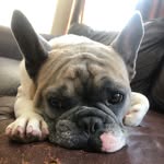 Aidan Walker - @_aidan_walker_ - Instagram