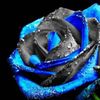 aidan.weiss - @raphaela5159 - TikTok