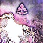 Aidan Wilson - Facebook