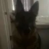 Aidan Wilson - @aidan.wilson95 - TikTok