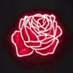 Aidan Wolf - @___j.fox___ - Instagram