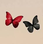 Aide Hernandez - Facebook