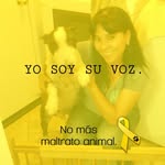 Aide Salinas - @aaidesalinas - Instagram