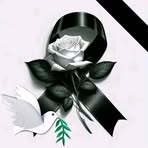 Aide Sanchez - Facebook