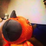 Aiden Barry - @aiden.barry - Instagram