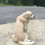 @aiden.barrette - Instagram