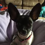 Aiden Bartlett - @aiden_b11 - Instagram