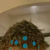 Aiden Bass - @aidenbass69 - TikTok