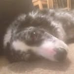 Aiden Bassett - @aidenbassett - Instagram