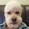 aidenbassd - @aidenbassd - TikTok