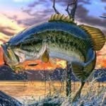 @aidenbassfishing - Instagram