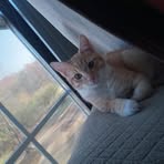 Aiden Baxter - Facebook