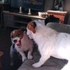 user9492801587966 - @aiden.baxter - TikTok