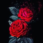 Aiden Beers - @witheredflyer - Instagram