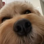 Aiden Bender - Facebook