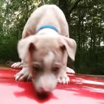 Aiden Bennett - @aiden.bennett.58118 - Instagram