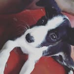 AIDEN BERNARD - @aidenjr_ - Instagram