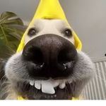 Aiden Bird - @aidenbird82 - Instagram