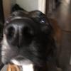 Aiden bird - @aiden.bird2 - TikTok
