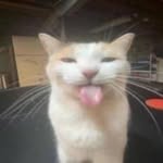 Aiden Blackwell - @aiden_blackwell_17 - Instagram