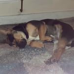 Aiden boyce - @sheluvzadz - Instagram