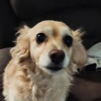 Aiden Boyd - Facebook